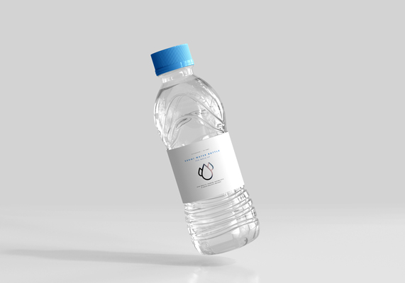 Description of image 2