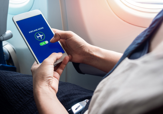 Description of image 1