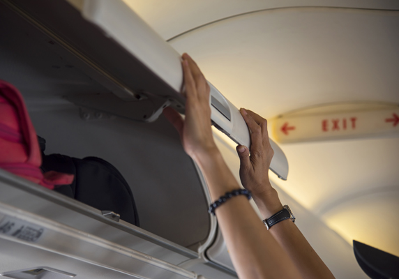 Description of image 3