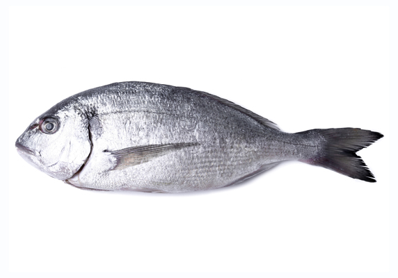 Description of image 3