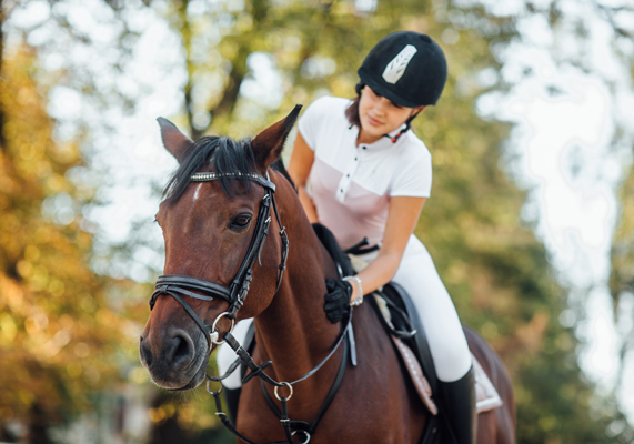 Description of image 1