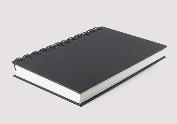 Description of image 1