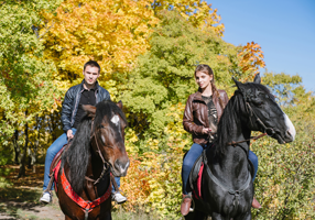 Description of image 3