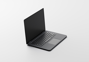 Description of image 1