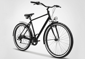 Description of image 3