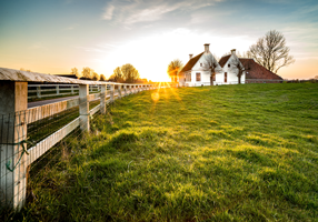 Description of image 1